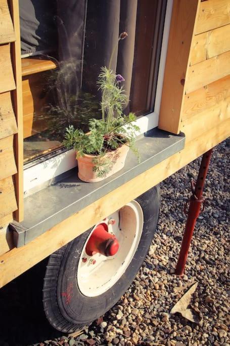 Holiday home Tinyhouse Zirkuswagen- Kotten Kunterbunt
