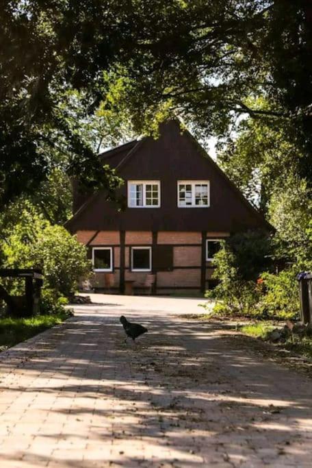 Tinyhouse Zirkuswagen- Kotten Kunterbunt * Nottuln